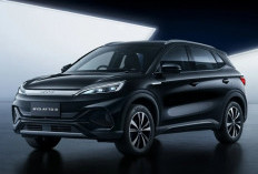 BYD Rilis Harga Terbaru Mobil Listrik Indonesia 2026: Berapa Pasaran Atto 3, Dolphin, dan Seal Saat Ini?