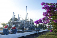 Pertamina Terapkan PRESSMON BALI untuk Awasi Tekanan Pipa BBM Balongan–Jakarta Secara Digital