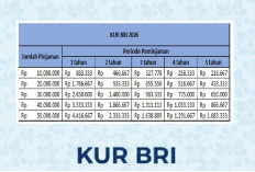 Tabel Angsuran KUR BRI 2026 Pinjaman 400-500 Juta: Suku Bunga Tetap 6 Persen