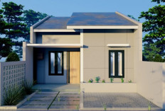 Rincian Estimasi Biaya Renovasi Rumah Type 36, Wajib Tahu Sebelum Mulai!