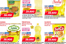 Hanya 3 Hari! Spesial Sambut Imlek Alfamart Berikan Promo Menarik Mulai Dari Minyak Goreng  Hingga Mie Instan