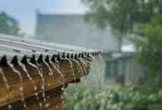 Musim Hujan Terus, Ini 7 Tips Cegah Rumah Lembap dan Jaga Imunitas agar Tidak Mudah Sakit