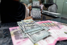 Mengapa Nilai Tukar Rupiah Sering Berubah? Ini Penjelasan Sederhananya Bagi Pemula