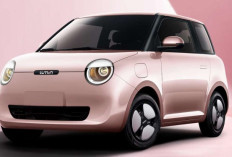 Berapa Harga Mobil Listrik Tanpa Subsidi Pemerintah? Simak Daftar Harganya Berikut!