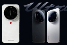 Pilihan HP Baru dengan Snapdragon 8 Elite Gen 5 yang Sudah Tersedia di Pasar