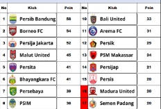 Klasemen Liga 1: Pekan ke-25, Persib Makin Nyaman Dipuncak, Borneo FC Rebut Peringkat Kedua Dari Persija