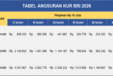 Tabel Angsuran KUR BRI 10 Juta - 50 Juta, Solusi Pinjaman Tanpa Agunan Dengan Suku Bunga 6% per Tahun