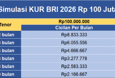 Simulasi Tabel KUR BRI Pinjaman 100 Juta: Cicilan Rp 2.1 Juta Hingga Rp 8.8 Juta
