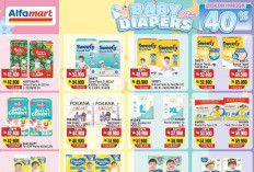 Katalog Promo Alfamart Periode 16-28 Februari 2026: Kebutuhan Anak & Dapur Alfamart