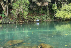Tempat Wisata Situ Cipanten Majalengka, Danau Luas Jernih Dengan Harga Tiket Masuk Yang Murah