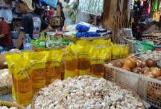 Bulog Cirebon Distribusikan 50 Ribu Liter Minyakita Demi Stabilitas Harga