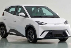 Spesifikasi dan Estimasi Harga BYD Seagull di Indonesia: Mobil Listrik Murah?