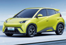 Perbandingan Jarak Tempuh Mobil Listrik BYD Atto 1 Dynamic vs Superior, Mana yang Lebih Pas?