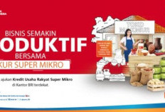 Daftar Suku Bunga KUR BRI 2026 Berdasarkan Jenis Pinjaman: Super Mikro dan Mikro