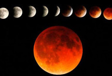 Gerhana Bulan Total Saat Ramadan di Tahun 2026: Cek Jadwal dan Daftar Wilayahnya