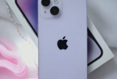Turun Harga ?, Harga IPhone 14 Terbaru 2026 dan Spesifikasinya