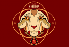 Ramalan Shio Kambing Hari Ini Yang Beruntung di Tahun 2026: Karier, Keuangan, Hubungan, dan Kesehatan