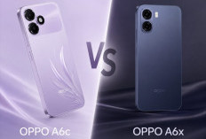 OPPO A6c vs OPPO A6x: Membedah Perbedaan Spesifikasi Dua Jagoan Terbaru dari OPPO