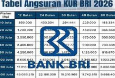 Tabel KUR BRI Pinjaman Rp 100-200 Juta untuk Modal Usaha UMKM