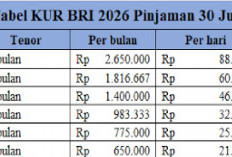 Tabel Angsuran KUR BRI 2026 Pinjaman 1 Juta -20 Juta: Cicilan Cuma Puluhan Ribu! 