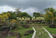 15 Destinasi Wisata Kuningan Murah Meriah 2026: Libur Lebaran Seru Tak Perlu Kantong Bolong