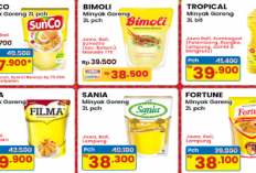 Katalog Promo JSM Indomaret Minggu Ini 2-8 Maret 2026, Minyak 2L Mulai dari Rp 36.400, Popok Rp 42.500