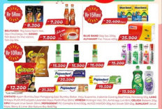 Ambil 6 Item! Tebus Murah Serba Rp 5 ribu hingga RP 15 ribu, Promo Puncak Alfamart Hari Ini 28 Februari 2026