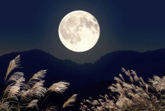 Harvest Moon Hiasi Langit Indonesia Malam Ini 26 September, Ini Jadwal Terbit dan Puncak Fasenya
