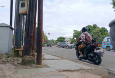 Satu Titik Lebih dari 12 Tiang Provider, Pemkot Segera Tebang