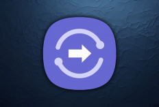 Mengenal Quick Share: Fitur Canggih Pengganti Air Drop di HP Samsung