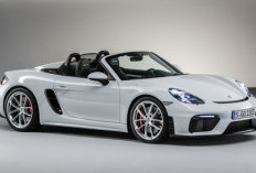 Daftar Harga Mobil Porsche Terbaru di Indonesia: Dari Macan Hingga 911
