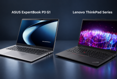 Asus ExpertBook P3 G1 vs Lenovo ThinkPad Series, Mana Lebih Unggul untuk Laptop Bisnis?
