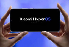 Cara Update HyperOS 3 secara Manual dan Aman (Tanpa Tunggu OTA)