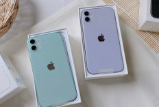Jangan Asal Murah! Ini Cara Cek Garansi Resmi Apple untuk iPhone Harga 5 Jutaan