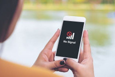 ﻿Jangan Panik! 7 Langkah Cepat Mengatasi Sinyal Smartphone yang Hilang Total
