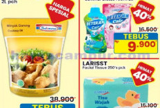 Paling Murah dan Tebus Murah, Promo Indomaret Hari Ini Periode 5 hingga 11 Februari 2026