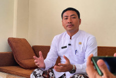 DPMPTSP Catat NIB Tembus Diangka 25.208, Kemudahan Layanan Digital Pemicunya