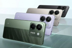 Budget 3 Jutaan? Ini Rekomendasi Smartphone Seri Redmi dan Poco Terbaru