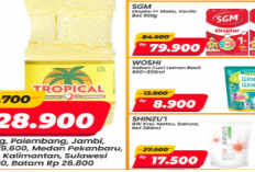 Katalog Promo JSM Alfamart 23-25 Januari 2026, Minyak Rp 28.900, Popok Bayi Rp 34.900, Belanja Makin Murah