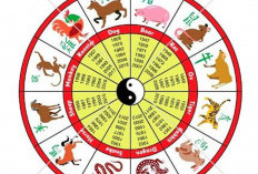 Cek Ramalan Shio Hari Ini: Peruntungan Lengkap 12 Shio