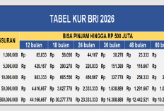 Tabel Angsuran KUR BRI 2026 Terbaru Pinjaman Rp 5-500 Juta, Simak Simulasi Cicilan Ramah