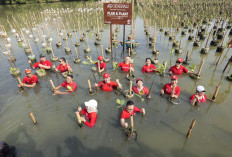 Tanam Mangrove di Utara Jakarta, Cara Generali Ubah Lembaran Asuransi Jadi Benteng Pesisir