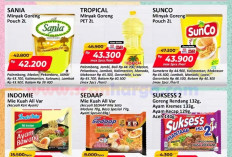 Promo JSM Alfamart Indomaret Awal Pekan Juli 2026 Bayar Pakai OVO Potongan Ekstra