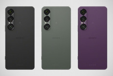 Bocoran IMEI Terungkap! Sony Siapkan Xperia 1 VIII dan 10 VIII untuk Rilis Global 2026
