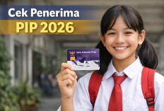 Cara Cek Penerima PIP 2026 Lewat HP Pakai NIK dan NISN di Link Baru SIPINTAR