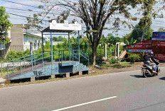 Kebijakan WFH Diapresiasi, Pengamat Sebut Harus Jadi Momentum Kebangkitan Moda Transportasi Umum