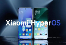 Daftar Lengkap HP Xiaomi, Redmi, dan Poco yang Mendapatkan Update HyperOS 3.3