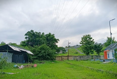 Warga Protes TPS Berjarak 10 Meter dari Rumah, Keluhkan Bau dan Lalat