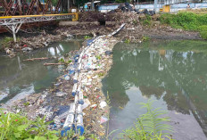 Usulkan Pemasangan Trash Barrier Agar Sampah tak Sampai ke Laut