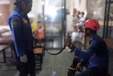 Ular Masuk Warkop, 10 Menit di Evakuasi Damkar